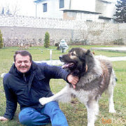 ,   Azad, 56 ,   ,   , c 