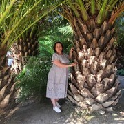 ���������� ������, ���� ������� �������, 53 ����, ������������ ��� ����� � ���������, c�������� ���������