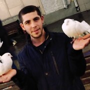 ���������� ��������, ���� ������� ����, 29 ���, ������������ ��� ������, ����� � ���������