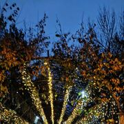 ���������� �����������, ���� ������� ��������, 46 ���, ������������ ��� ������, ����� � ���������