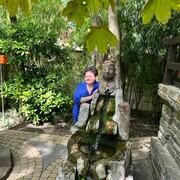 ���������� ���������, ���� ������� ��������, 52 ����, ������������ ��� ����� � ���������, c�������� ���������