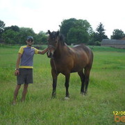 ���������� ������, ���� ������� ������, 40 ���, ������������ 