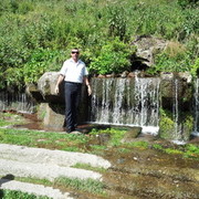  ,   AVO94635211, 47 ,   