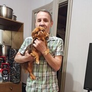  ,   , 66 ,   c 