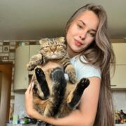 ���������� ������, �����