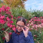 ���������� ��������, ���� ������� �������, 46 ���, ������������ ��� ������, ����� � ���������, c�������� ���������