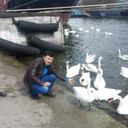  ,   Bahodir, 32 ,   ,   , c 
