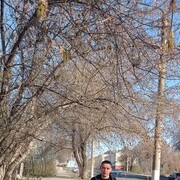 ���������� ������������, ���� ������� �����, 38 ���, ������������ ��� ������, ����� � ���������, c�������� ���������