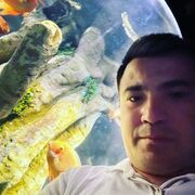 ���������� �������, ���� ������� Kabul, 31 ���, ������������ ��� ������, ����� � ���������