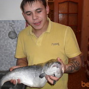  ,   , 36 ,   