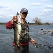 ���������� ������������, ������� ����, 43