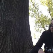 ���������� ������, ���� ������� ����, 38 ���, ������������ ��� ����� � ���������, c�������� ���������