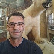 ���������� �����������, ���� ������� ���������, 49 ���, ������������ ��� ����� � ���������, c�������� ���������