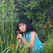  ,   , 63 ,   