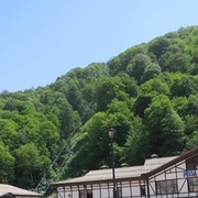  ,   , 56 ,   ,   , c 