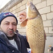 ���������� ����, ���� ������� ����, 38 ���, ������������ ��� c�������� ���������