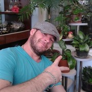 ���������� �������, ���� ������� �����, 40 ���, ������������ ��� ������, ����� � ���������, c�������� ���������