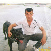 ���������� �����-���������, ���� ������� Aziz, 33 ����, ������������ ��� ������, ���������