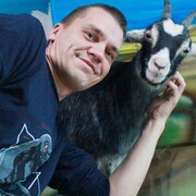 ���������� ��������, ���� ������� ���������, 39 ���, ������������ ��� ����� � ���������, c�������� ���������