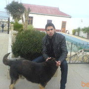 ���������� ����, ���� ������� �����, 37 ���, ������������ ��� ������