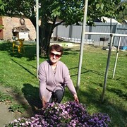 --,    , 55 ,   ,   , c 
