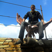 ���������� ���������, ���� ������� ��������, 38 ���, ������������ ��� ������, ����� � ���������, c�������� ���������