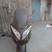 ���������� �����, ���� ������� ���������, 49 ���, ������������ ��� ������, ����� � ���������, c�������� ���������