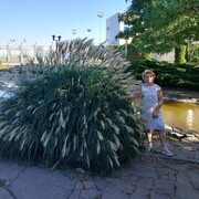  ,   Elena, 58 ,   c , 