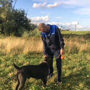 ���������� ��������, ���� ������� �������, 49 ���, ������������ ��� ����� � ���������, c�������� ���������