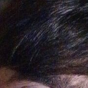 ���������� �����-���������, ���� ������� ���, 38 ���, ������������ ��� ������, ����� � ���������