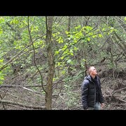 ���������� �������, ���� ������� Nikita, 28 ���, ������������ ��� ������, ����� � ���������, c�������� ���������, ���������