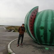  ,   , 33 ,   ,   