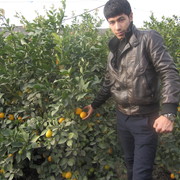 ���������� �������, ���� ������� �����, 36 ���, ������������ ��� ������, ����� � ���������, c�������� ���������