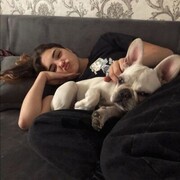  ,   , 24 ,   , 