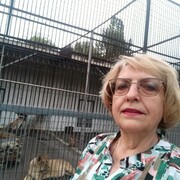  ,   , 55 ,   c 