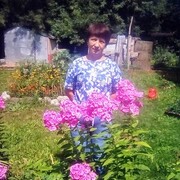 ���������� �����������, ���� ������� �����, 53 ����, ������������ ��� ����� � ���������, c�������� ���������