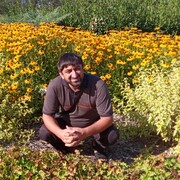 ���������� ������� �����, ���� ������� �������, 38 ���, ������������ ��� ����� � ���������, c�������� ���������