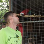 ���������� ������, ���� ������� ������, 44 ����, ������������ ��� ������, ����� � ���������