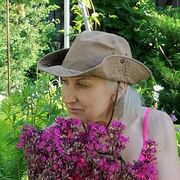  ,   , 56 ,   c , 
