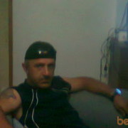  ,   Koko, 49 ,   ,   , c 