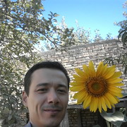 ,   , 43 ,   ,   , c 
