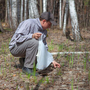 ���������� ������������, ���� ������� �������, 32 ����, ������������ ��� ������, ����� � ���������, c�������� ���������, ���������