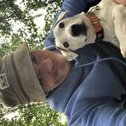   ,   , 49 ,   ,   , c , 