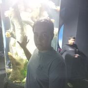 ���������� �������, ���� ����� �����, 24 ����, ������������ ��� c�������� ���������