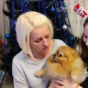 ���������� �������, ���� ������� �������, 52 ����, ������������ ��� ������, ����� � ���������