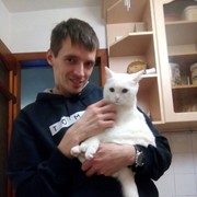 ���������� �����, ���� ������� �������, 36 ���, ������������ ��� ����� � ���������, c�������� ���������