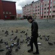 ���������� ��������, ���� ������� �������, 31 ���, ������������ ��� ������