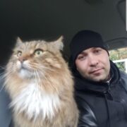 ���������� ������, ���� ������� �����, 41 ���, ������������ ��� ������, ����� � ���������