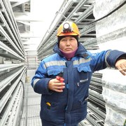  -,   , 55 ,   ,   , c 