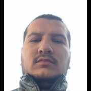 ���������� �������, ���� ������� WOLF, 31 ���, ������������ ��� ������, ����� � ���������